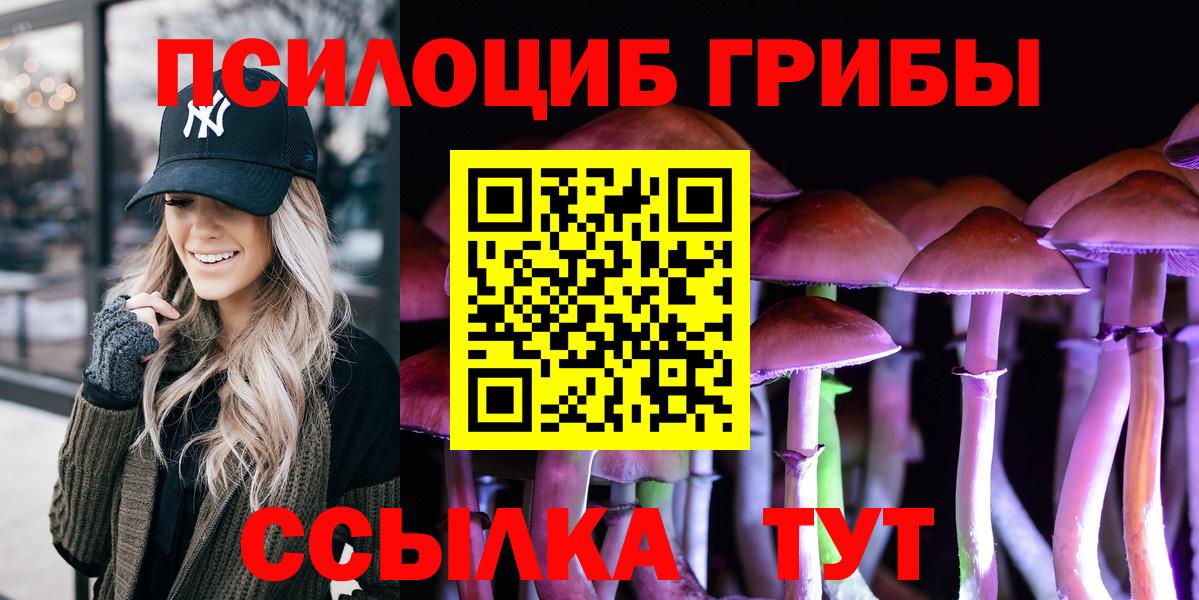 Псилоцибиновые грибы прущие грибы Губкинский